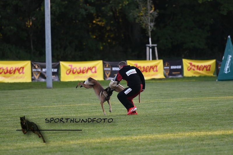 Impressionen 458.jpg